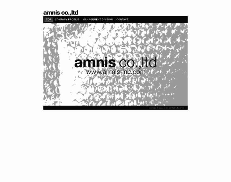 Amnis-inc.com thumbnail