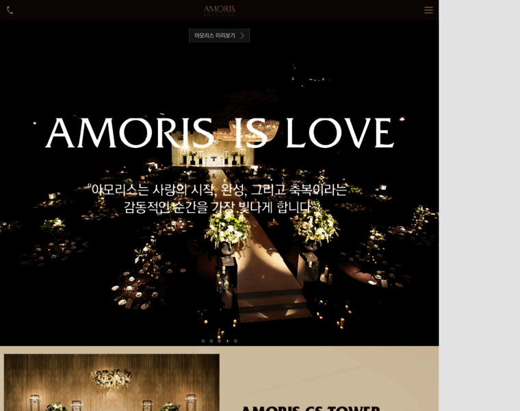 Amoris.co.kr thumbnail
