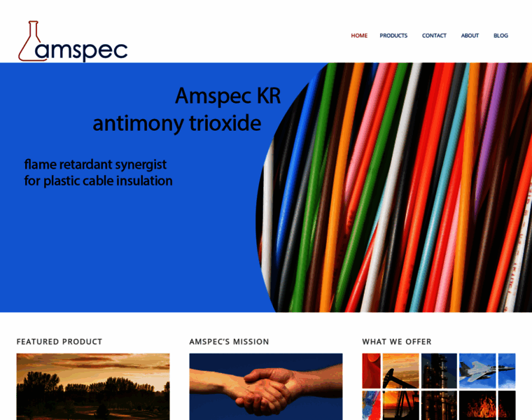 Amspec.net thumbnail