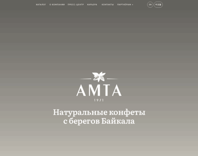 Amta.ru thumbnail