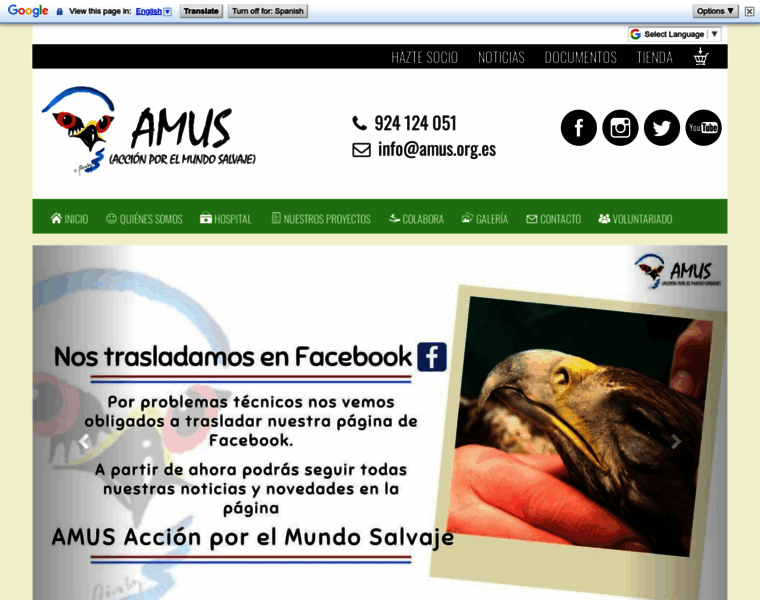 Amus.org.es thumbnail