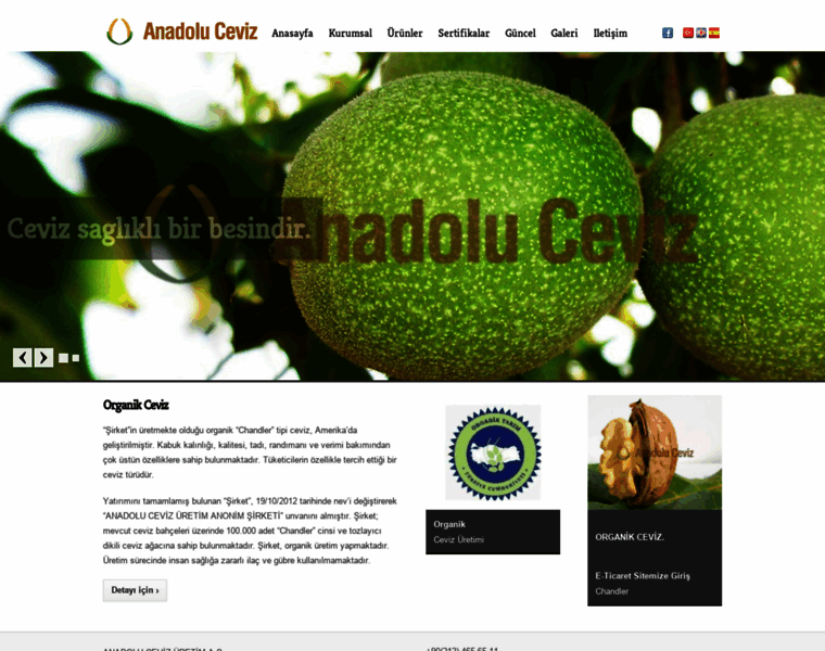 Anadoluceviz.com.tr thumbnail