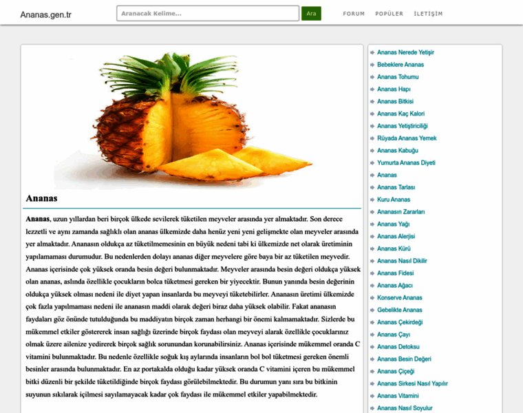 Ananas.gen.tr thumbnail