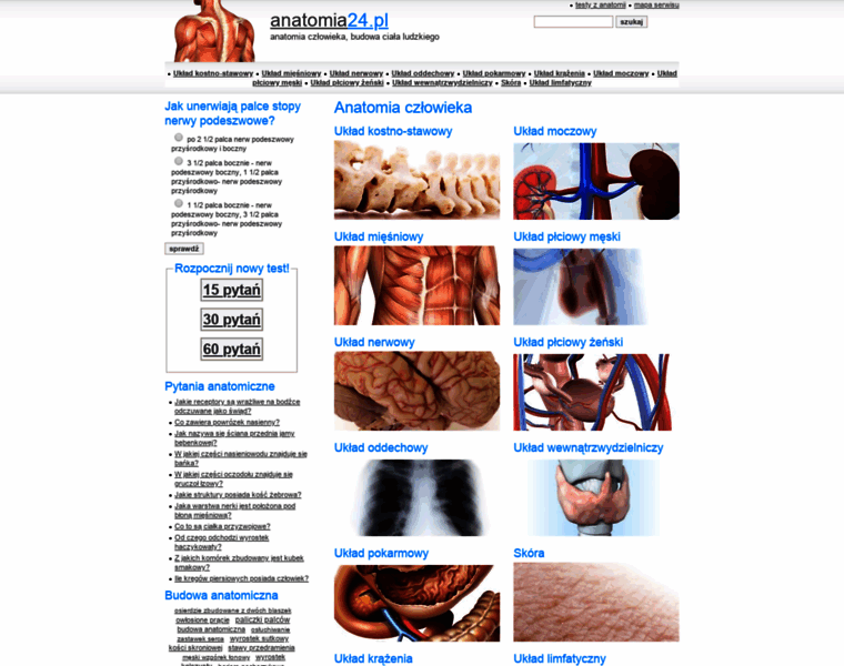 Anatomia24.pl thumbnail