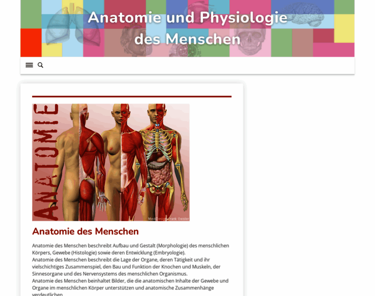 Anatomie-online.com thumbnail