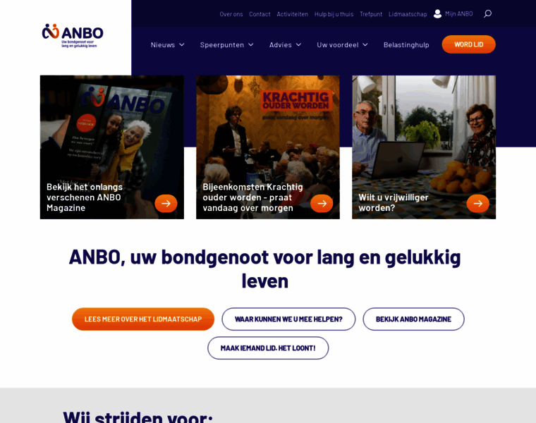 Anbo.nl thumbnail