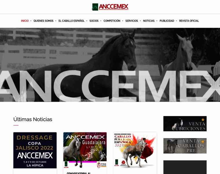 Anccemex.com thumbnail