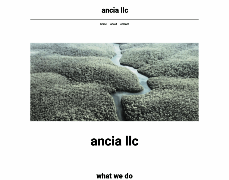 Anciallc.com thumbnail