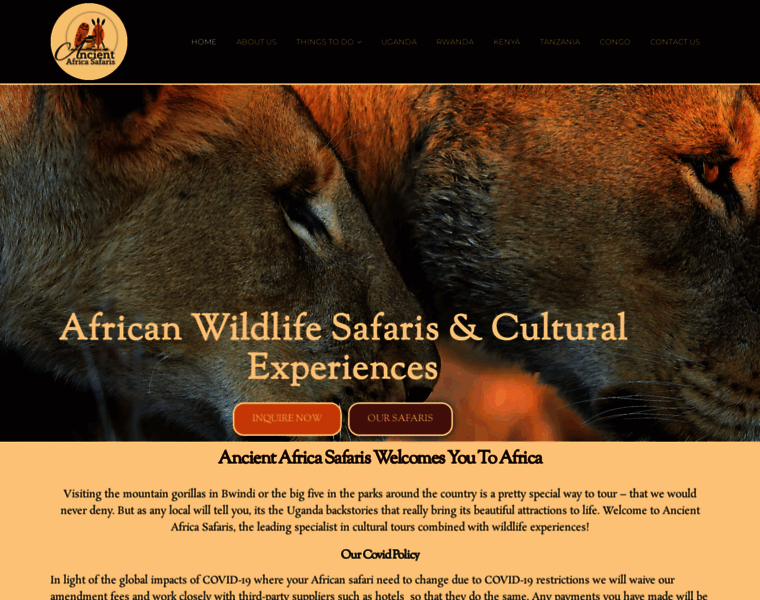 Ancientafricasafaris.com thumbnail
