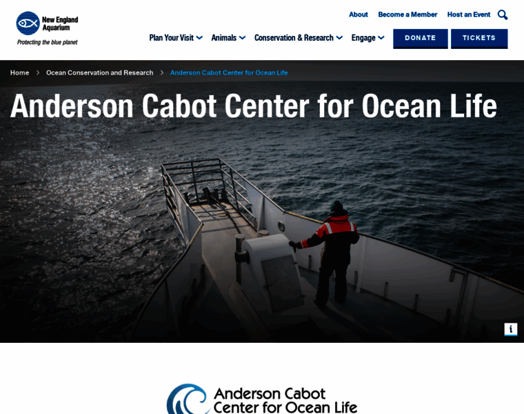 Andersoncabotcenterforoceanlife.org thumbnail