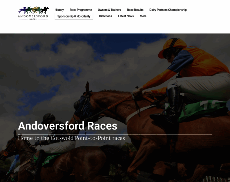 Andoversfordraces.co.uk thumbnail