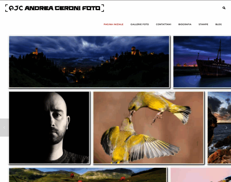 Andreaceroni.com thumbnail