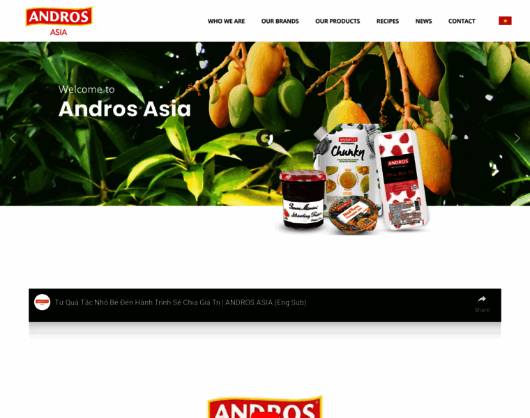 Andros-asia.com thumbnail
