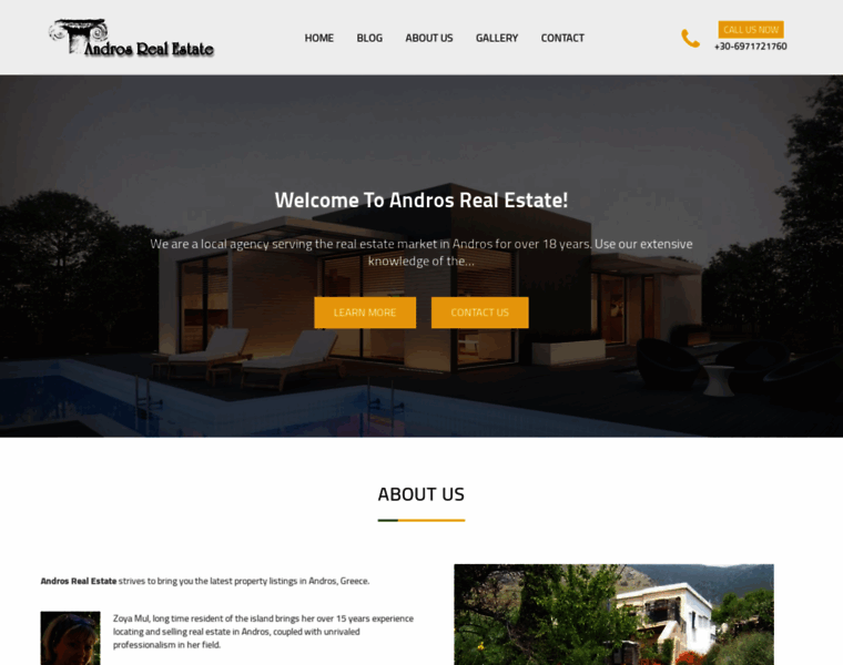 Andros-real-estate.com thumbnail