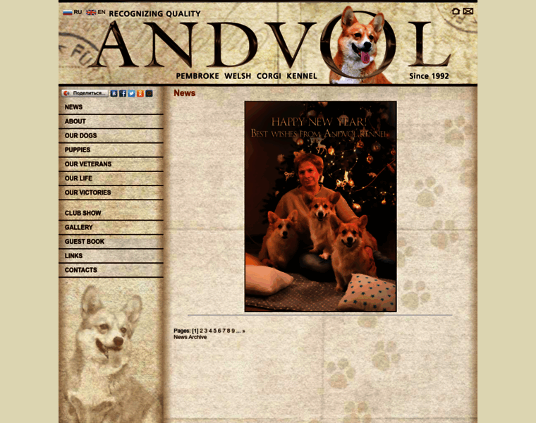 Andvol.ru thumbnail