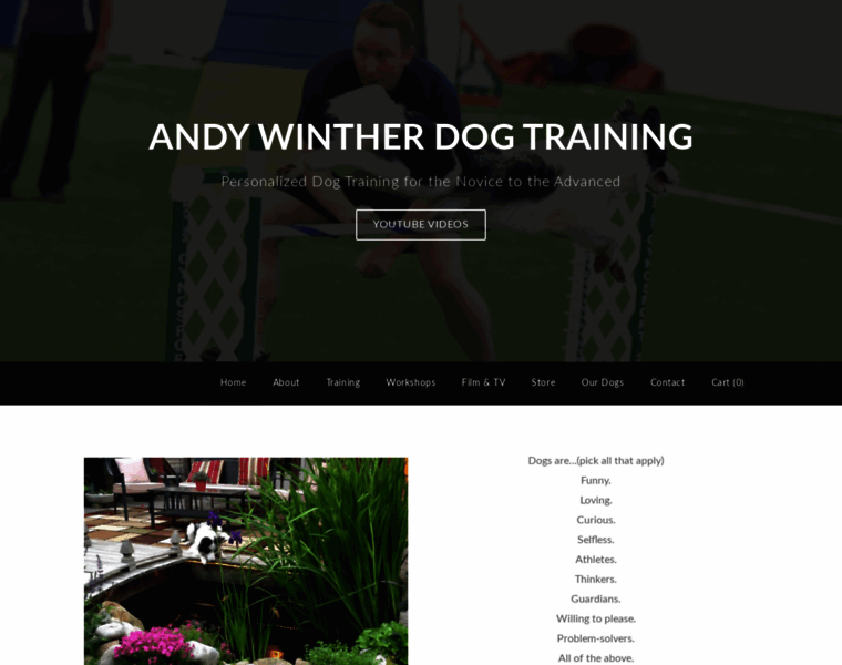 Andywintherdogtraining.com thumbnail