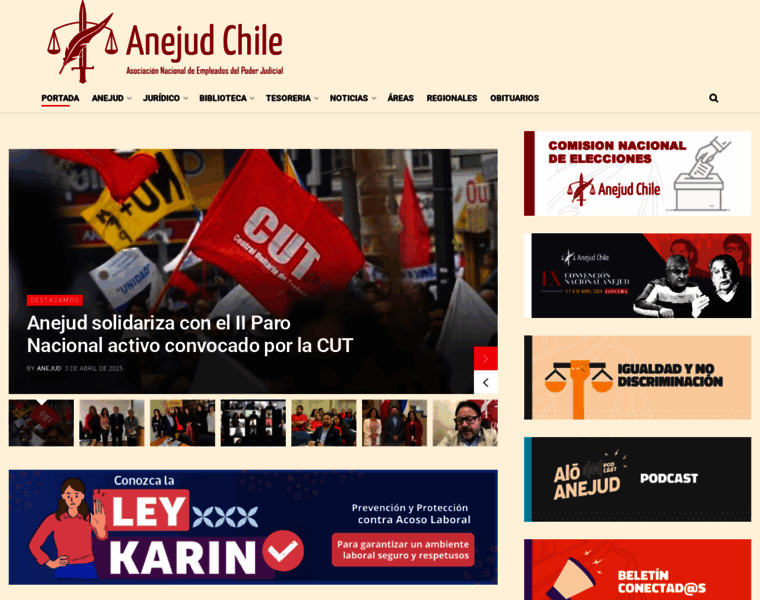 Anejudchile.cl thumbnail