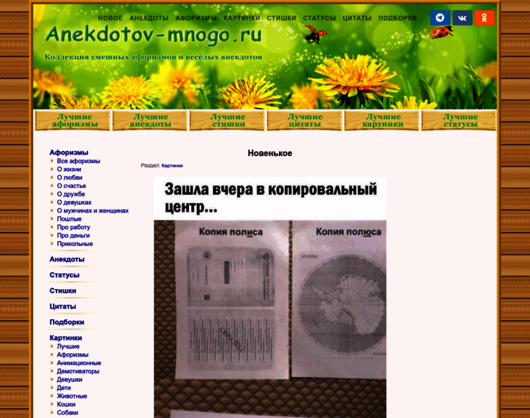 Anekdotov-mnogo.ru thumbnail
