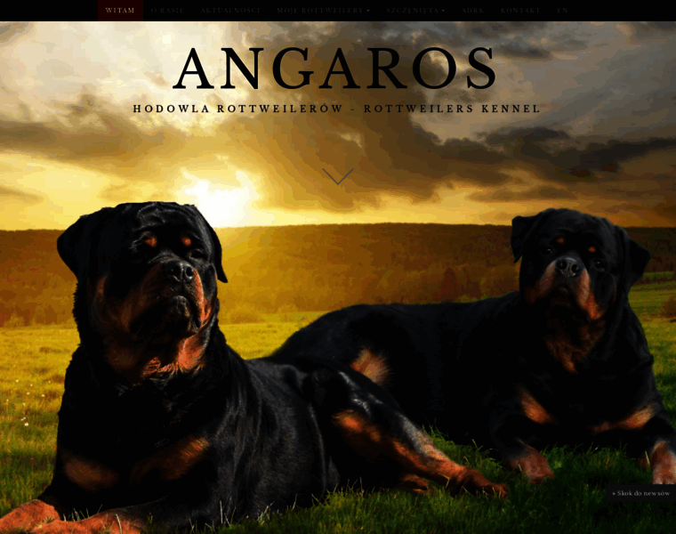Angaros-rottweiler.com thumbnail