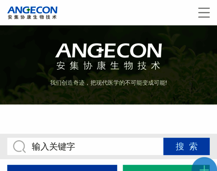 Angecon.com thumbnail