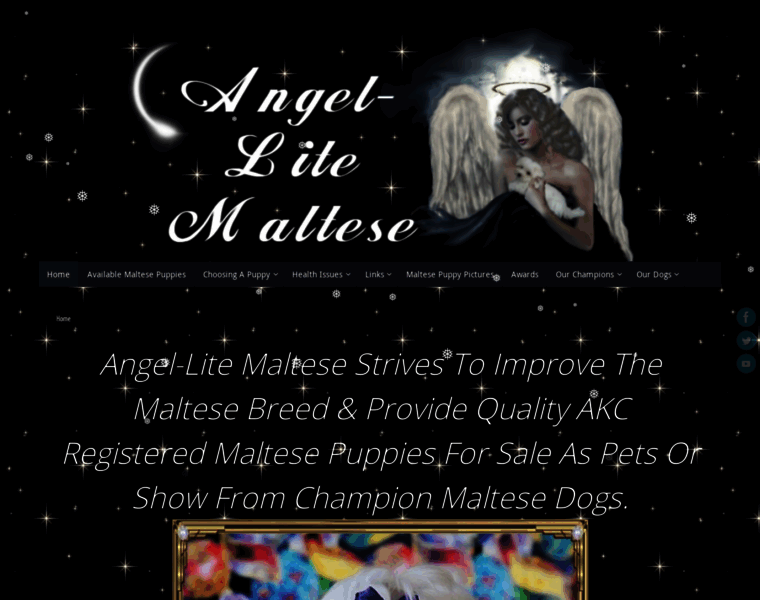 Angel-litemaltese.com thumbnail