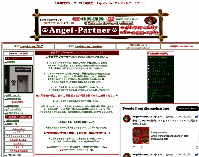 Angel-partner.net thumbnail
