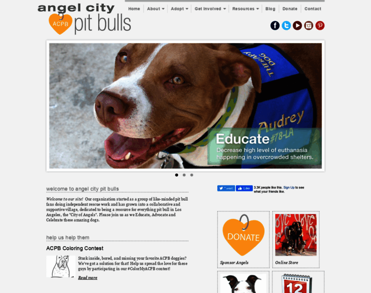 Angelcitypits.org thumbnail