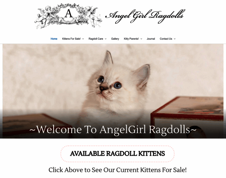 Angelgirlragdolls.com thumbnail