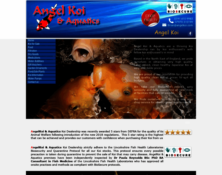 Angelkoi.com thumbnail