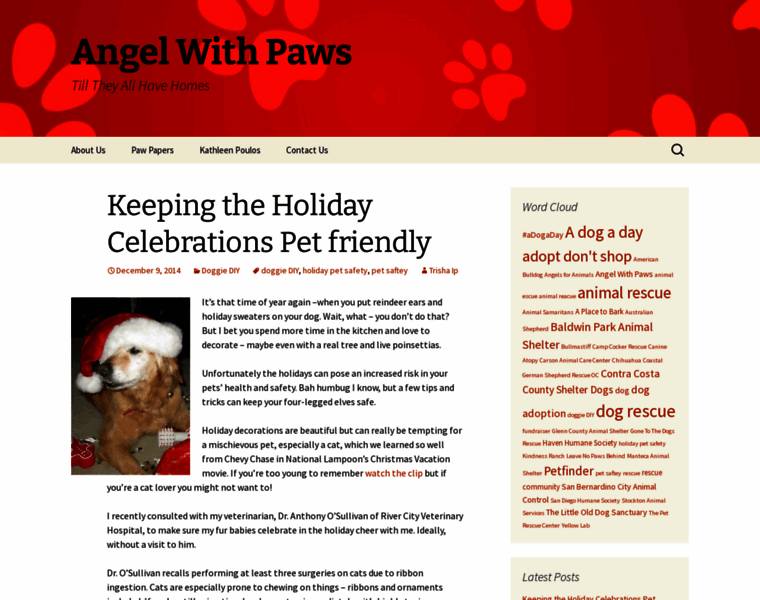 Angelwithpaws.com thumbnail