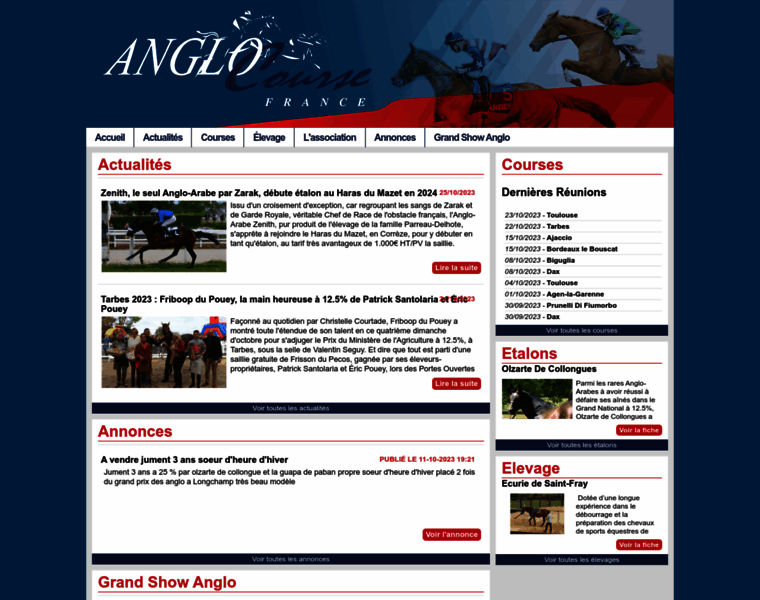 Anglocourse.com thumbnail