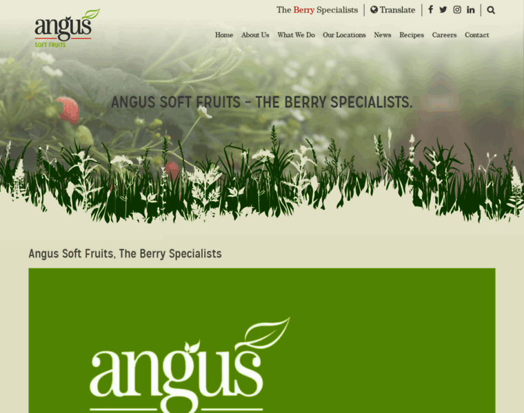 Angussoftfruits.co.uk thumbnail
