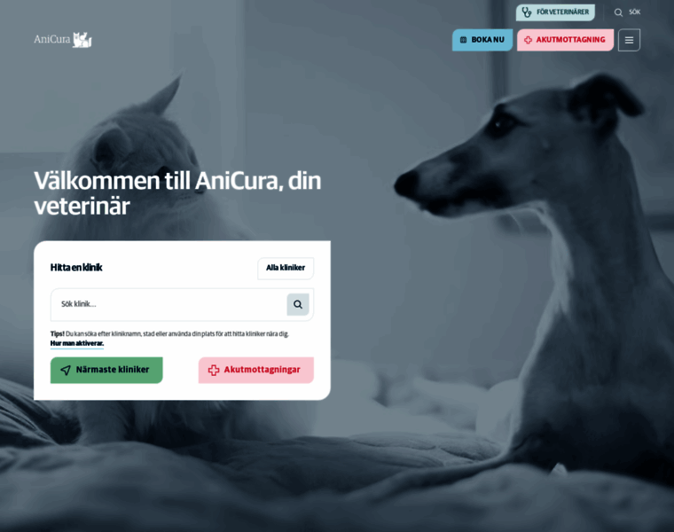 Anicura.se thumbnail Anicura.se thumbnail