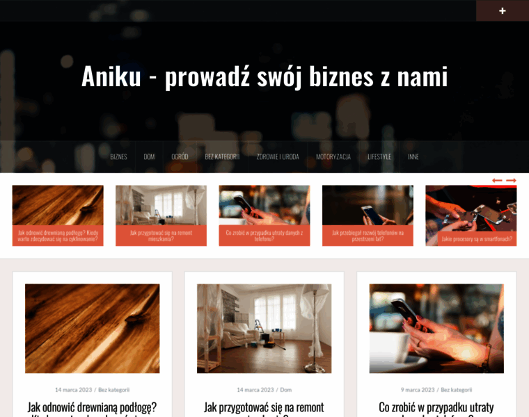 Aniku.pl thumbnail