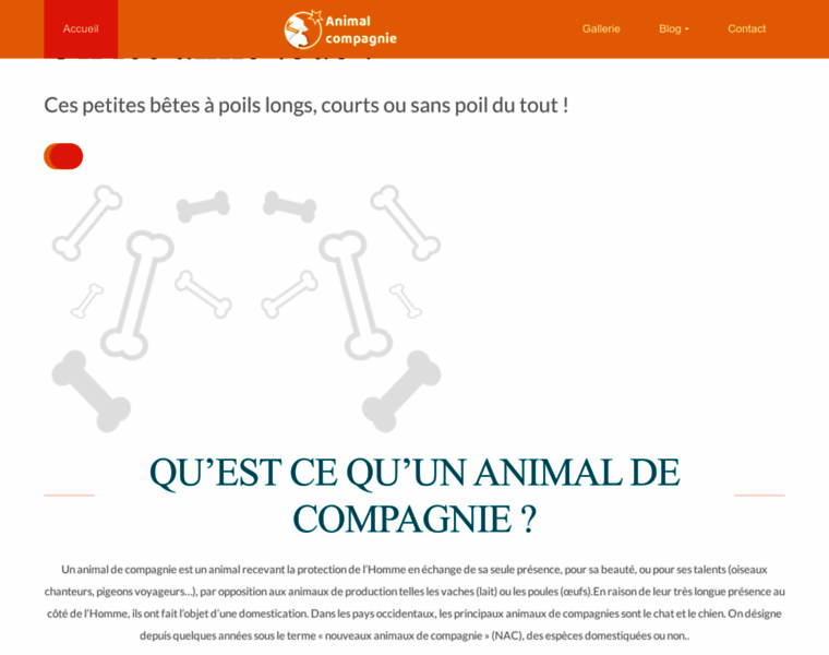 Animal-compagnie.fr thumbnail