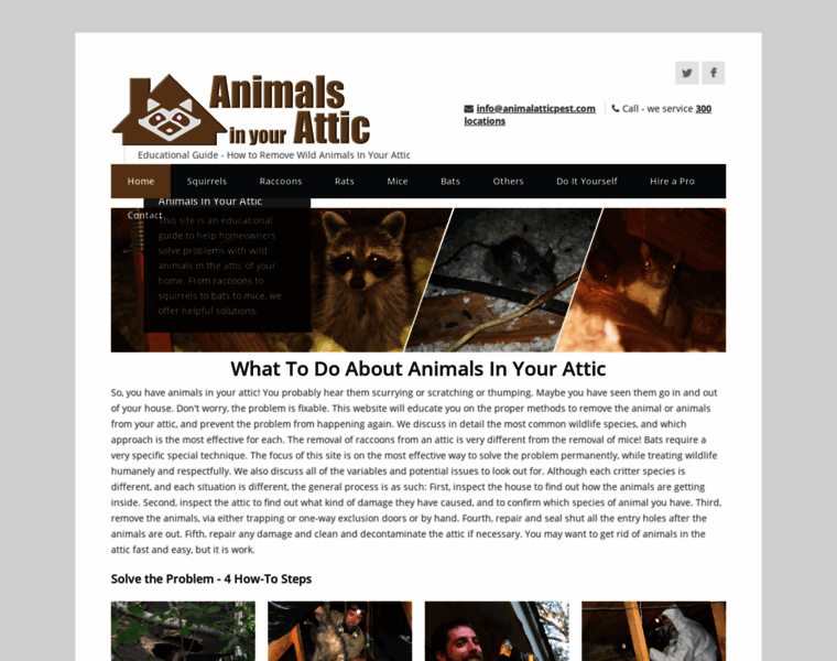 Animalatticpest.com thumbnail