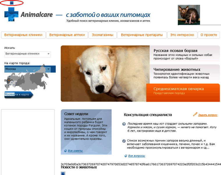 Animalcare.ru thumbnail