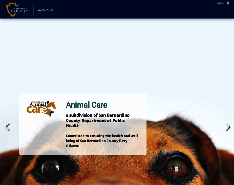 Animalcare.sbcounty.gov thumbnail