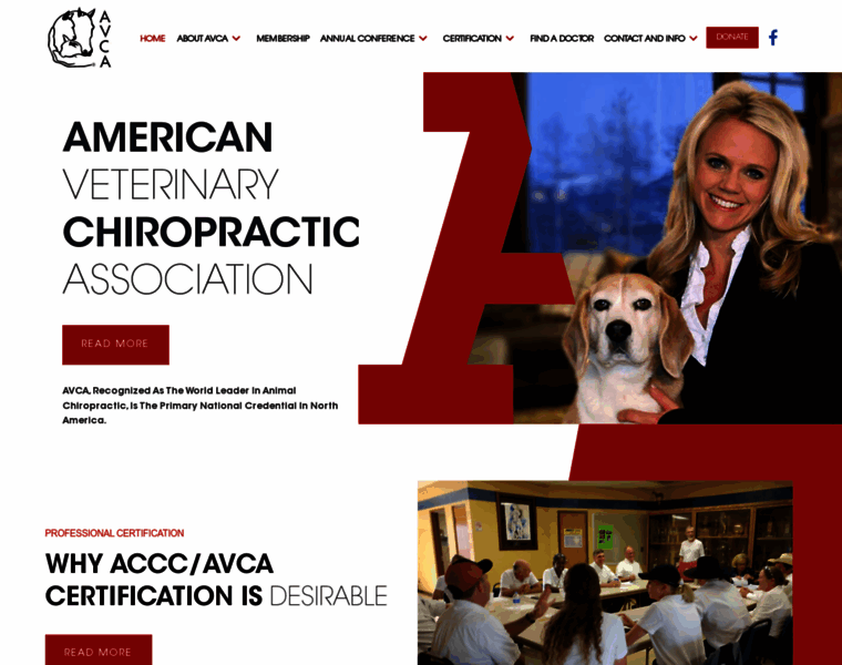 Animalchiropractic.org thumbnail
