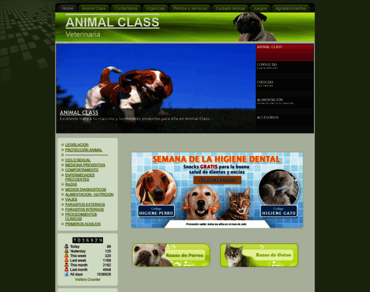 Animalclass.net thumbnail