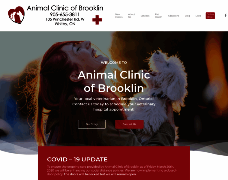 Animalclinicbrooklin.com thumbnail