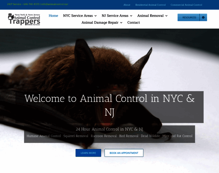 Animalcontrol.nyc thumbnail