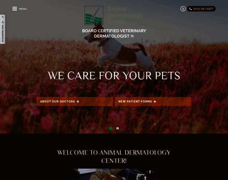 Animaldermatologycenter.com thumbnail