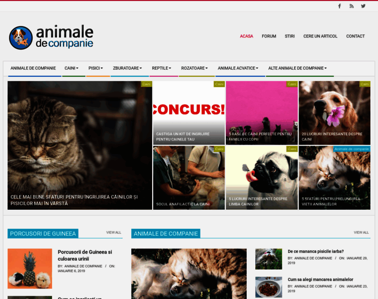 Animaledecompanie.info thumbnail