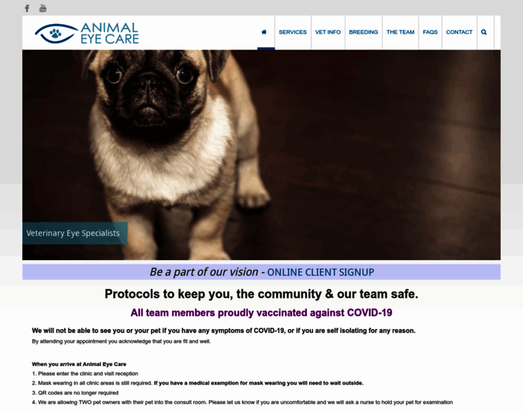 Animaleyecare.com.au thumbnail