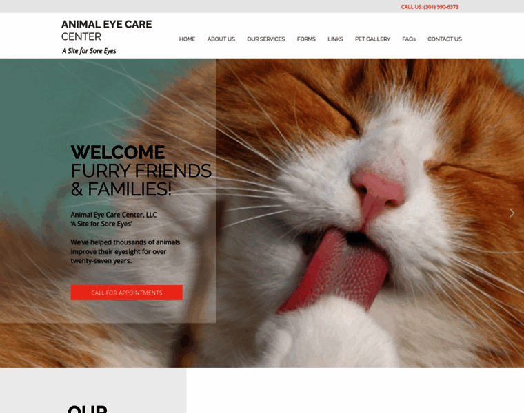 Animaleyecarecenter.com thumbnail