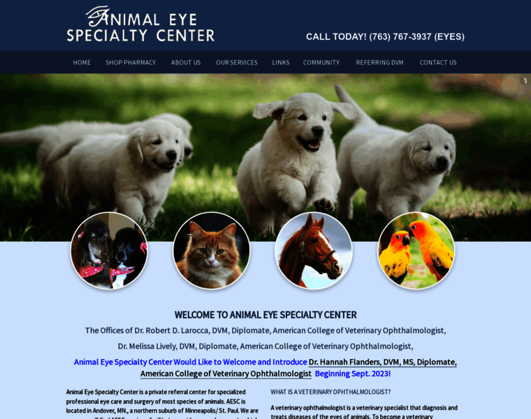 Animaleyespecialtycenter.com thumbnail