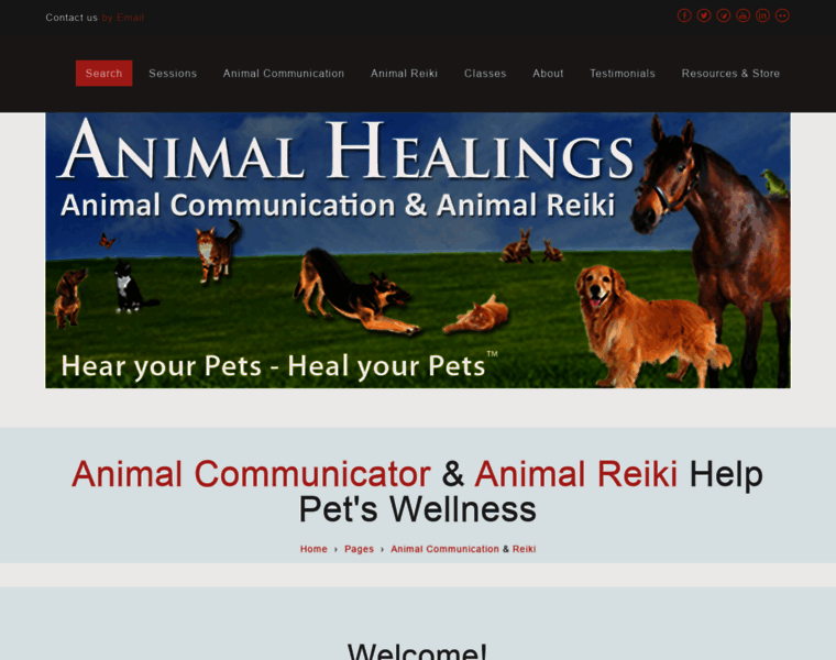 Animalhealings.com thumbnail