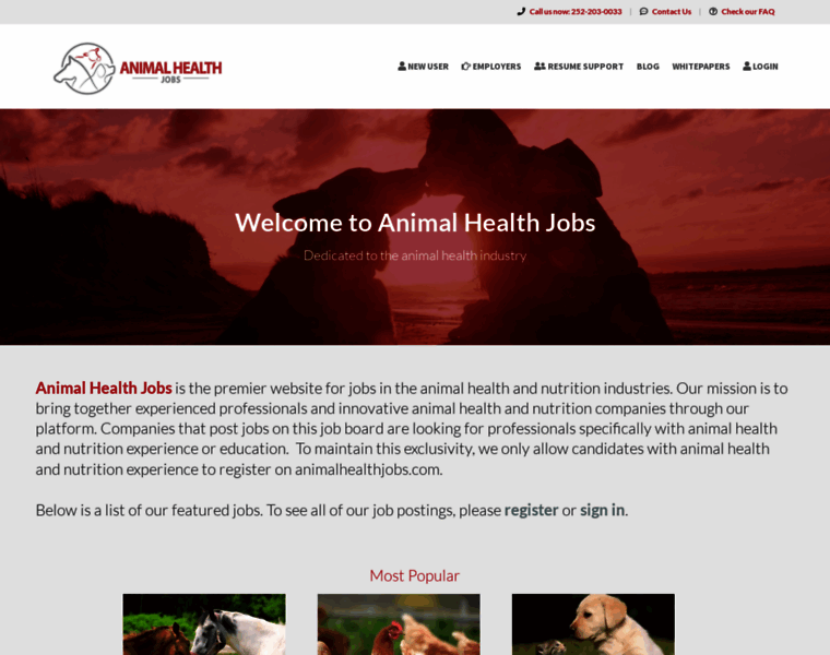 Animalhealthjobs.com thumbnail