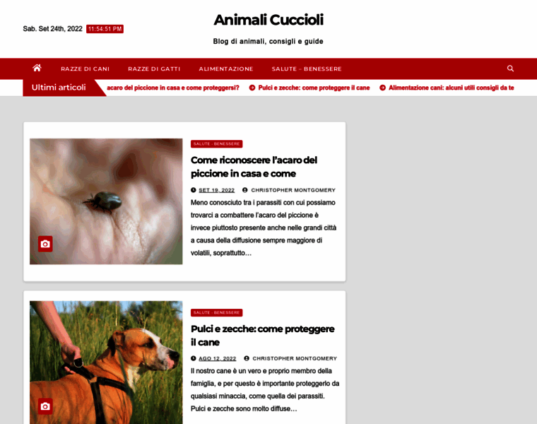 Animalicuccioli.it thumbnail